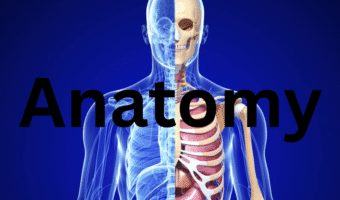 Screenshot 2025-10-13 182700