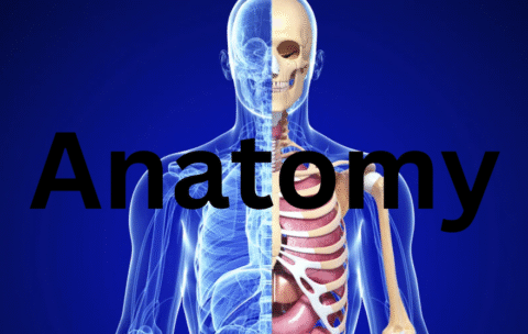 Screenshot 2025-10-13 182700