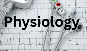 Screenshot 2025-10-13 182715