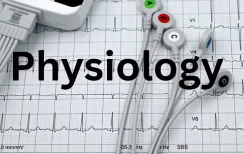 Screenshot 2025-10-13 182715