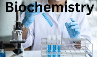 Screenshot 2025-10-13 182731