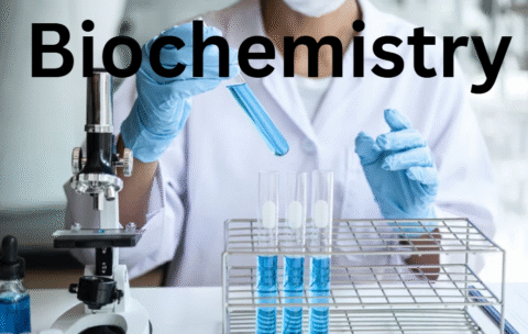 Screenshot 2025-10-13 182731