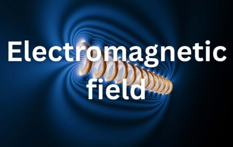 WhatsApp Image 2025-10-27 at 18.33.44